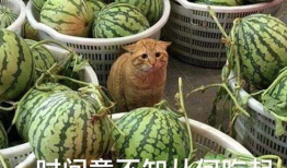 一起吃瓜爆料,一起吃瓜，探寻明星背后的故事